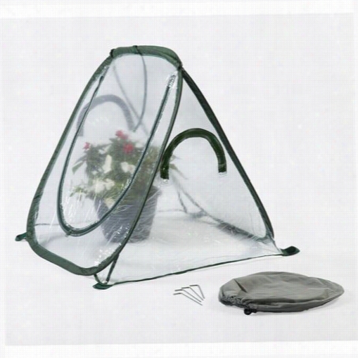 Flowerhouse Fhsd110cl Clear Seed House Jr.