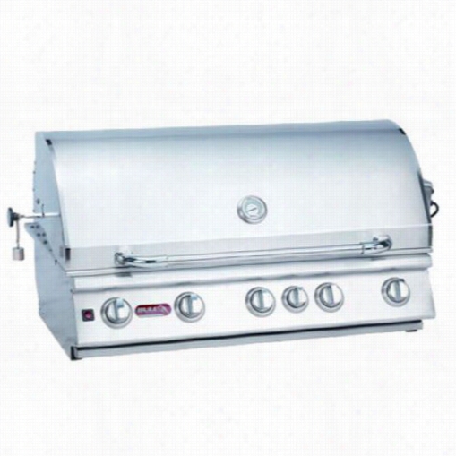 Bull  Outdoor 57569 Brahma 5 Burner Bulit-in Natural Gas Grill With Lights In Stainless Steel