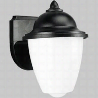 Progress Lighting P5844-31 Polycarbonate Lanterns 1 Light Wall Lantern In Black