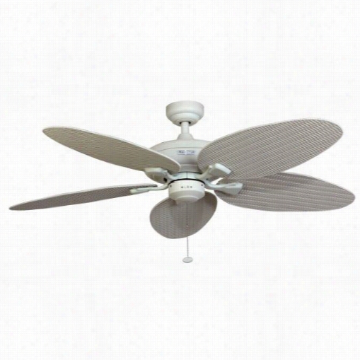 Prominence Close 5020 Hammock Cay 25q&uot;" Indoor/ouydoor Ceiling Fan