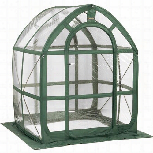 Flowerhouse Fhph115cl 5' Unmixed Plant House