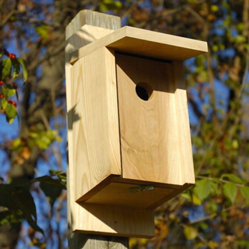 Heartwood 135a Joy Box Eastern Bluebird House