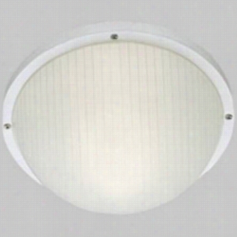 Progress Lighting P5702-30 Polycarbonate Mount Incandescent 1 Light Wall Or Ceiling Fixture In White