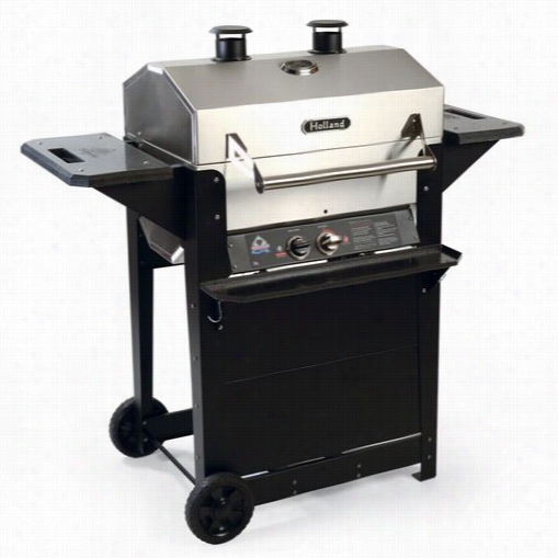 The Holland Grill Hgg42170 Independence Backyard Grill