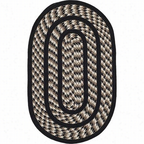 Safavieh Brd41c Braided Reversible Polypropylene Han Dwoven Ivory/black Rug