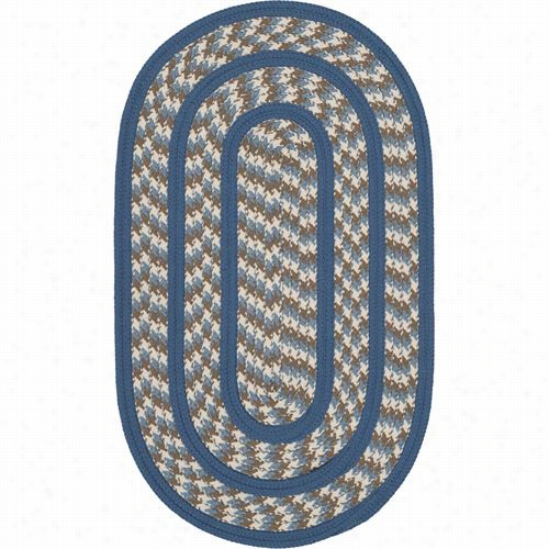 Safavieh Brd401a Braided Reversible Polyp Ropylene Hand Woven Ivory/blue Rug