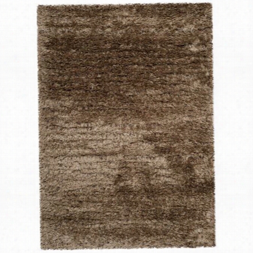 Safavieh Rsg521-2222 Rambling Composition S Hag Polyester Power Loomed Carmel Rug