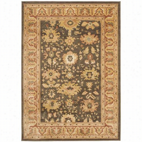 Safavieh Hlm1741-2537 Heirloom Polyprppylene Machine Made Brown/rust Rug