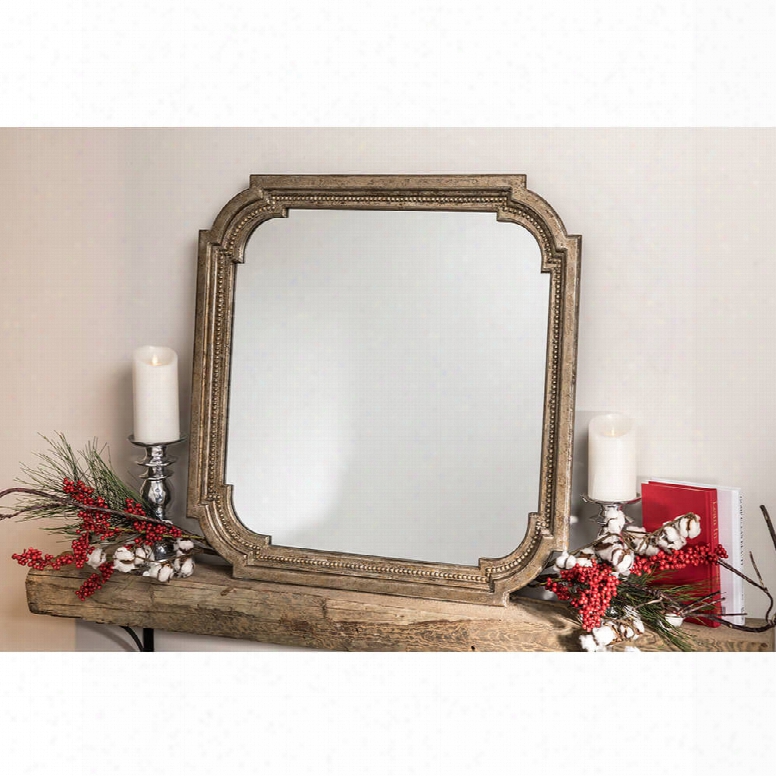 Cooper Classics Hedy Mirror