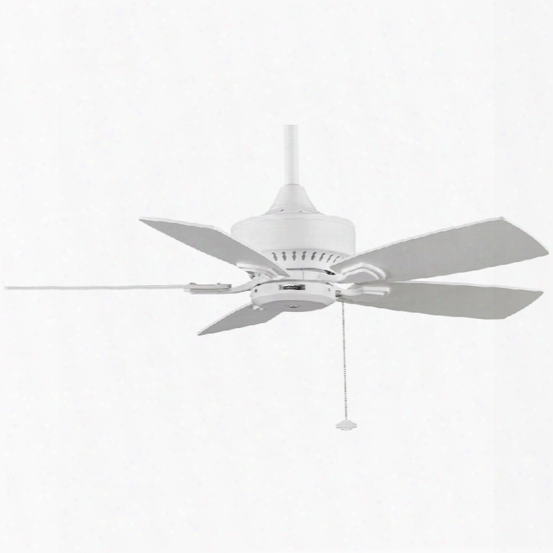Fanimation Cancun Ceiling Fan In White With Cherry/walnut Blades