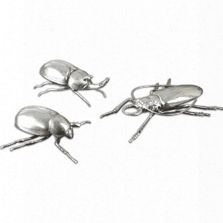 Uttermost Beetles - Set Of 3