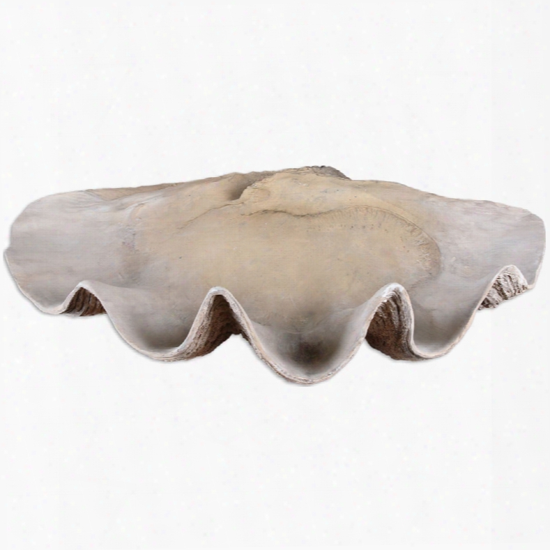 Uttermost Clam Shell Bowl