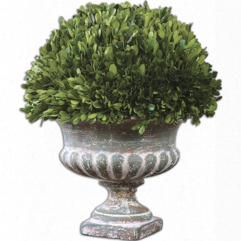 Uttermost Preserved Boxwood Garden Urn