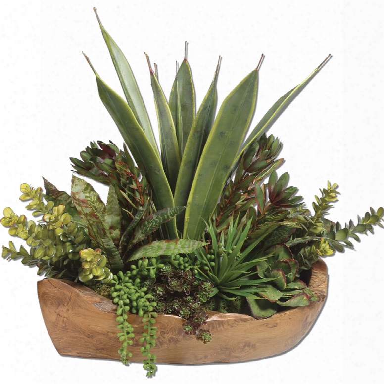 Uttermost Salar Succulents In Teak Bowl