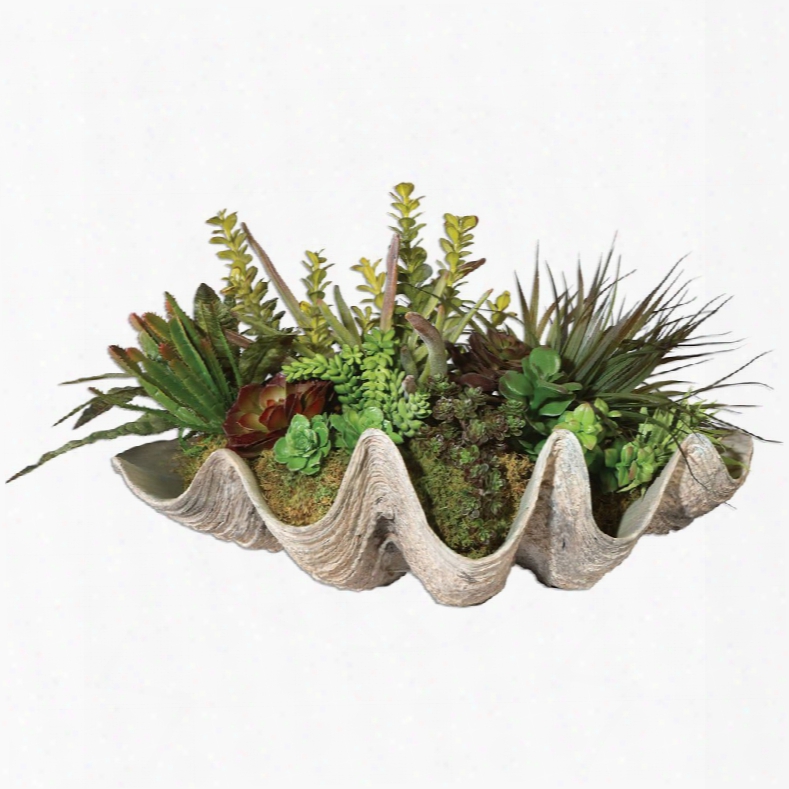 Uttermost Sea Coast Succulents