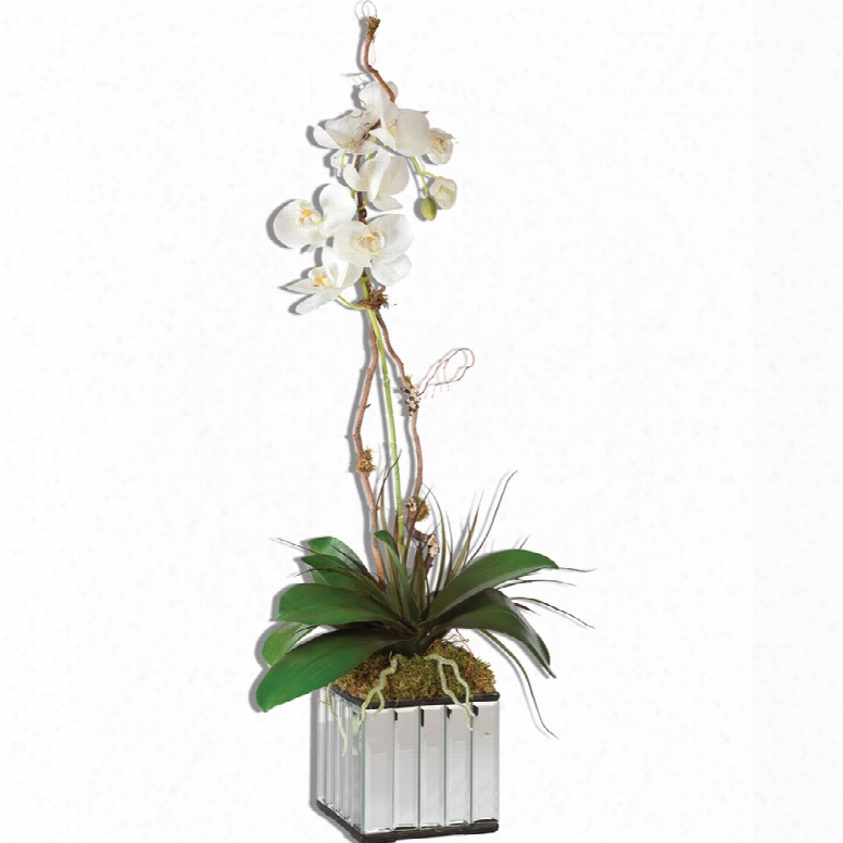 Uttermost White Kaleama Orchids