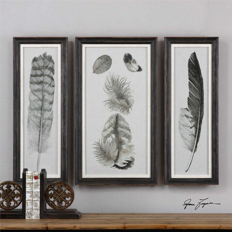 Uttermost Feather Study Prints Set Fo 3