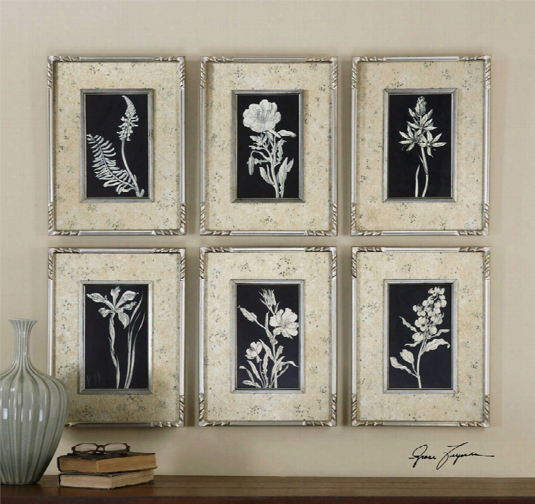 Uttermost Glowing Florals Framed Art Set Of 6