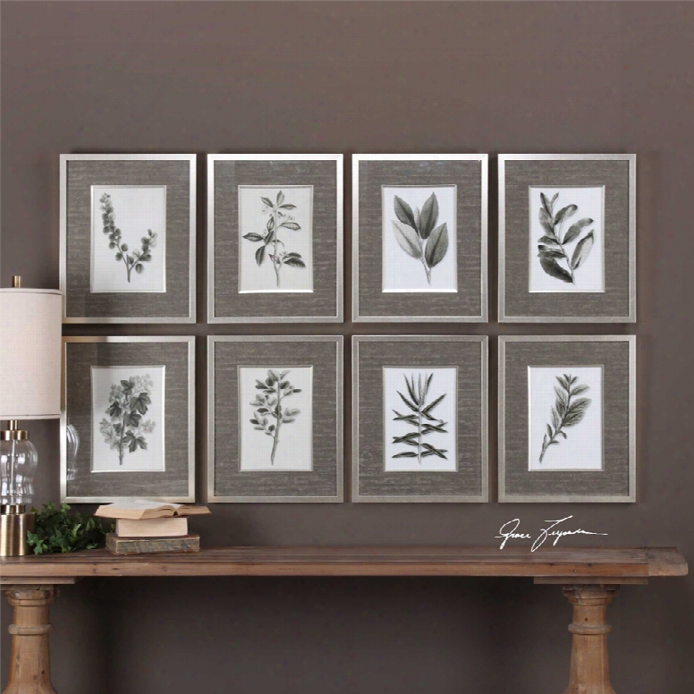 Uttermost Sepia Gray Leaves Prints Set Of 8