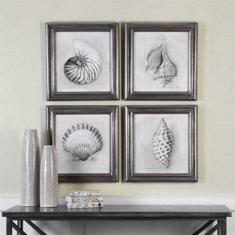 Uttermost Shell Schematic Aquatic Prints Set Of 4