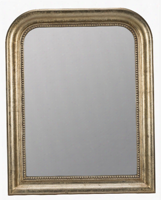 Cooper Classics Karly Mirror In Antique Champagne