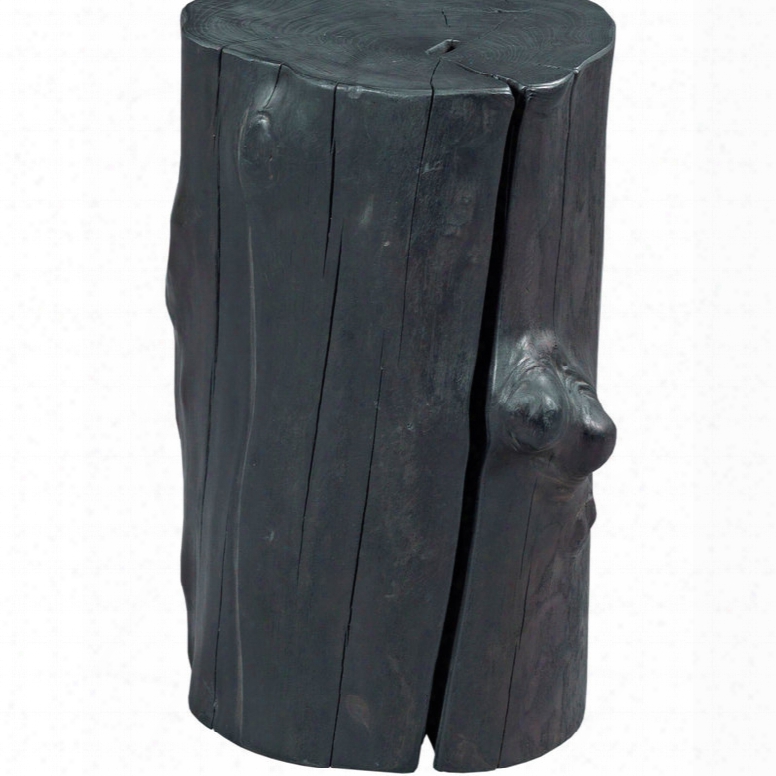 Hammary Hidden Treasures Charred Tree Trunk Accent Table