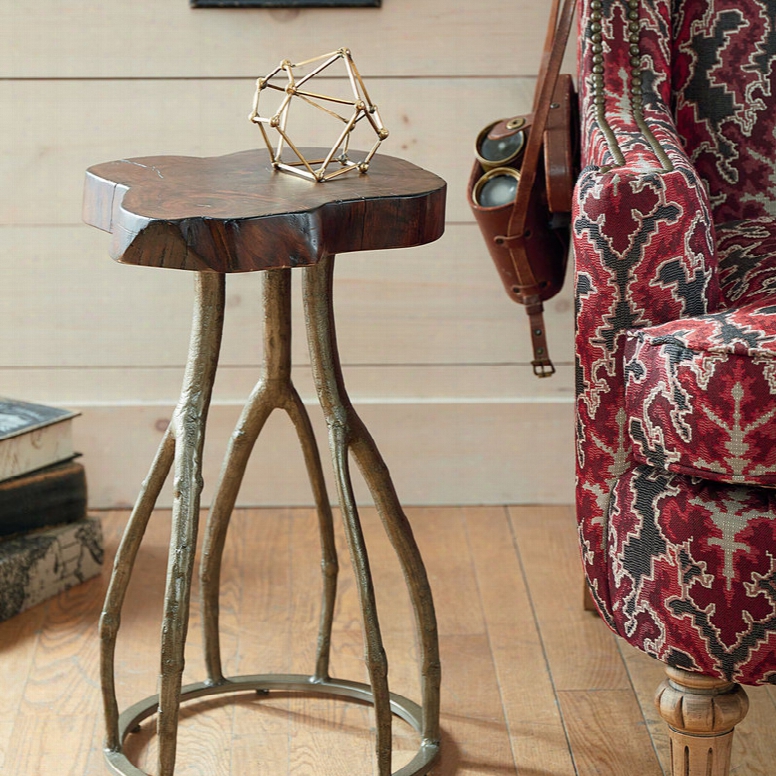 Hammary Hidden Treasures Live Edge Twig Table