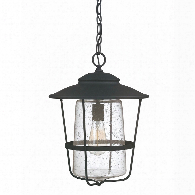 Capital Lighting Creekside 1-light Outdoor Hanging Lantern In Black
