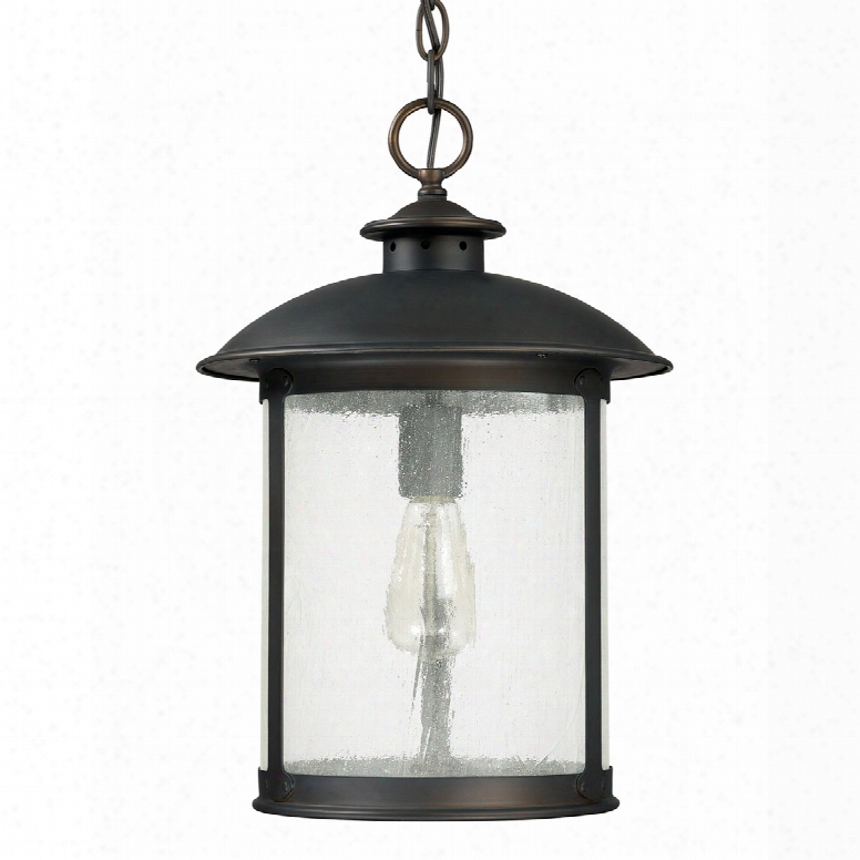Capital Lighting Dyylan 1-light Outdoor Hanging Lantern