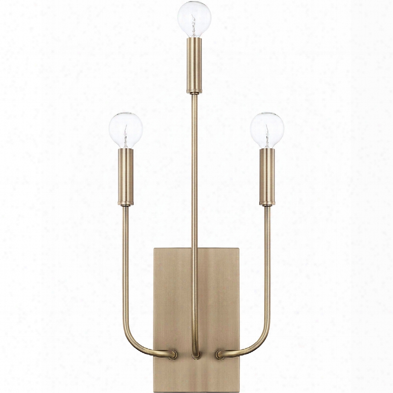 Capital Lgihting Zander 3-light Sconce