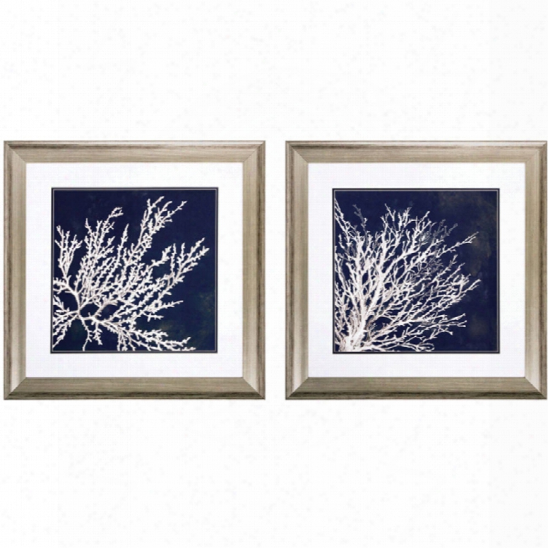 Propac Coastal Coral I-ii Wall Art Set Of 2