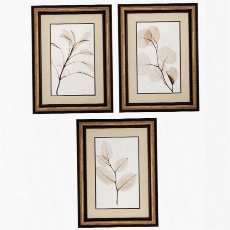 Propac Sage Sala Eucalypt Wall Art Set Of 3