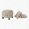 Madison Park Shelley Square Storage Ottoman with Pillows in Booya Tropic