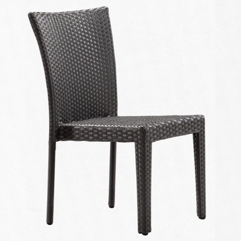 Zuo Vive Arica Chair In Espresso