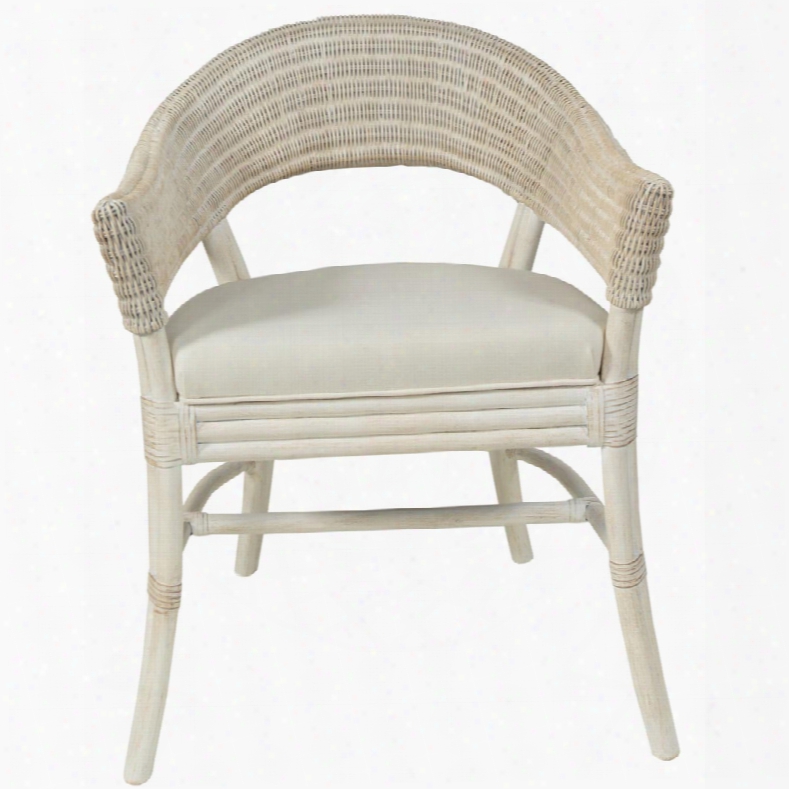 Dsvid Francis Samba Arm Chair