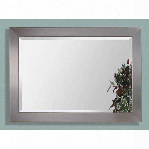 Bassett Mirror Company Stainless Steel Beveled Rectangle Wall Mirror