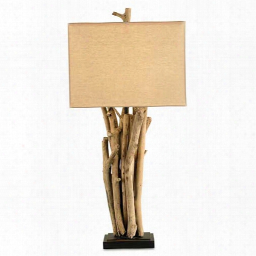 Currey & Company Driftwood Table Lamp