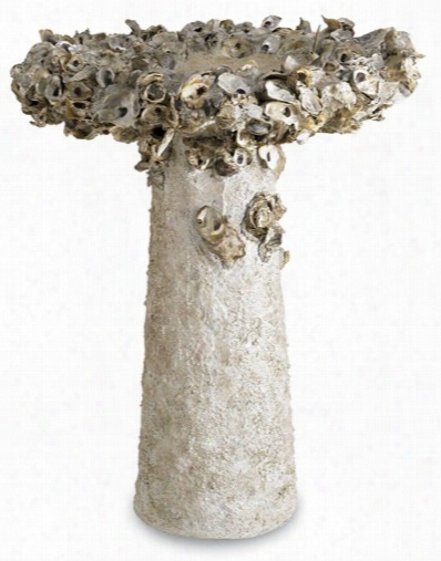 Currey & Company Oyster Shell Birdbath