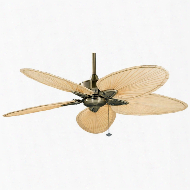 Fanimation Windpointe 5 Blade Fan In Oil-rubbed Bronze