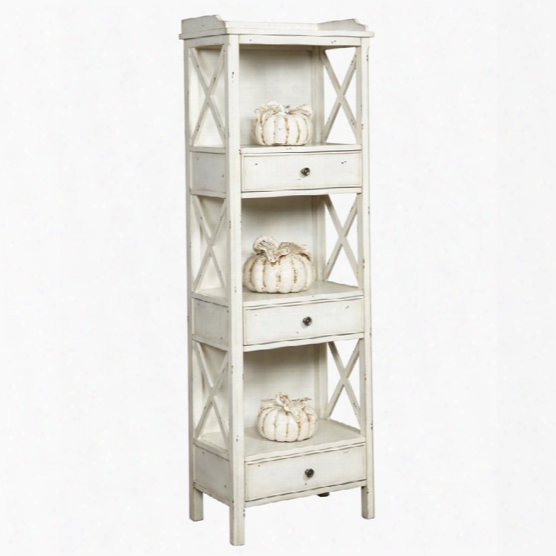 Pulaski Accents Bookcase