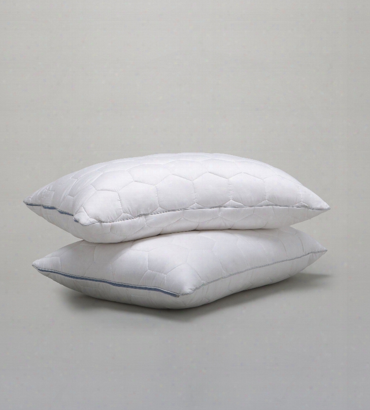 Ecosheex Down Alternative King Bed Pillow