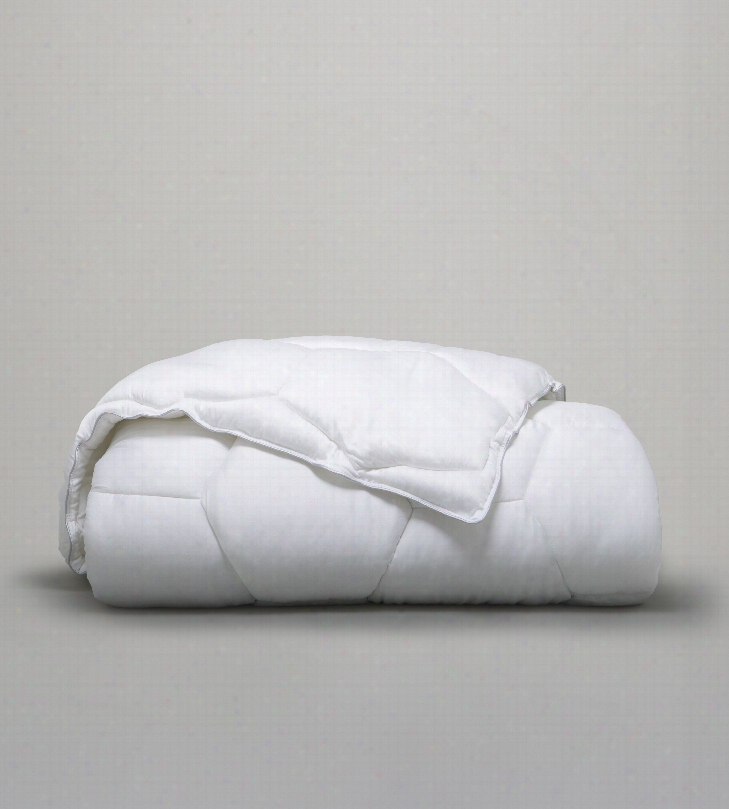 Ecosheex Down Alternative King Comforter In White