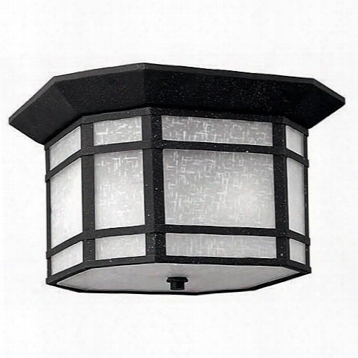 Hinkley Lighting Cherry Creek Flush Mount Outdoor Lantern