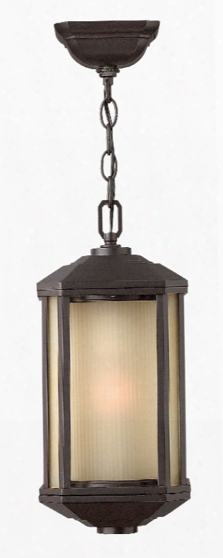 Hinkley Lighting Castelle 1-light Outdoor Hanging Lantern