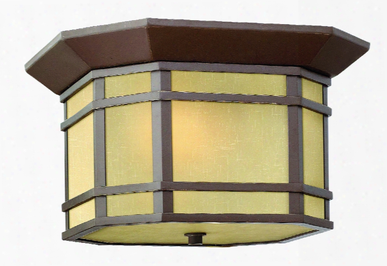 Hinkley Lighting Cherry Creek 1-light Outdoor Flush-mount In Oil Rubbed Bronze