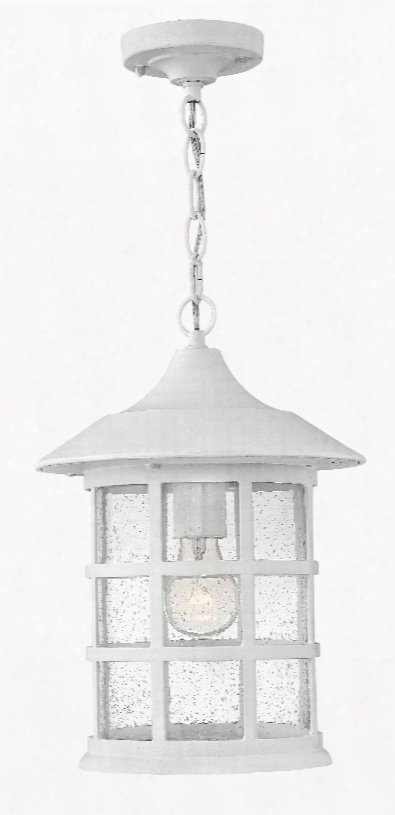 Hinkley Lighting Freeport 1-light Outdoor Haging Lantern