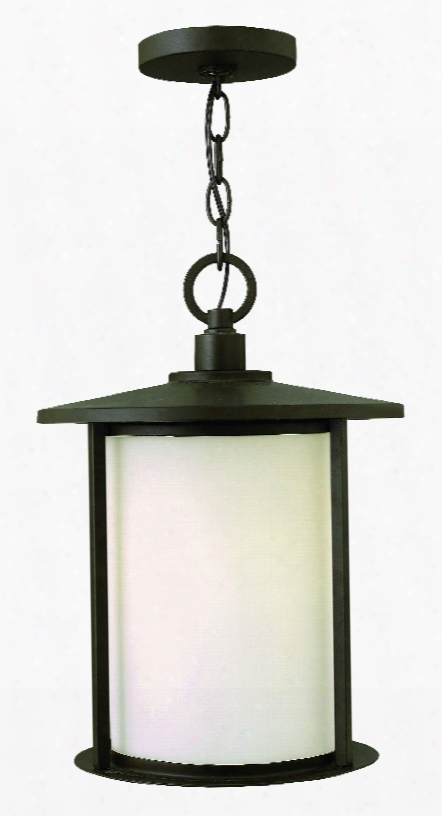 Hinkley Lighting Hudson 1-light Outdoor Hanging Lantern
