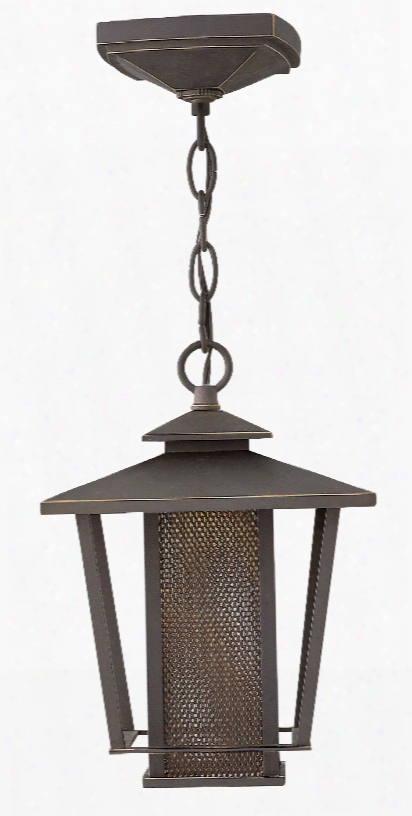 Hinkley Lighting Theo 1-light Outdoor Hanging Lantern