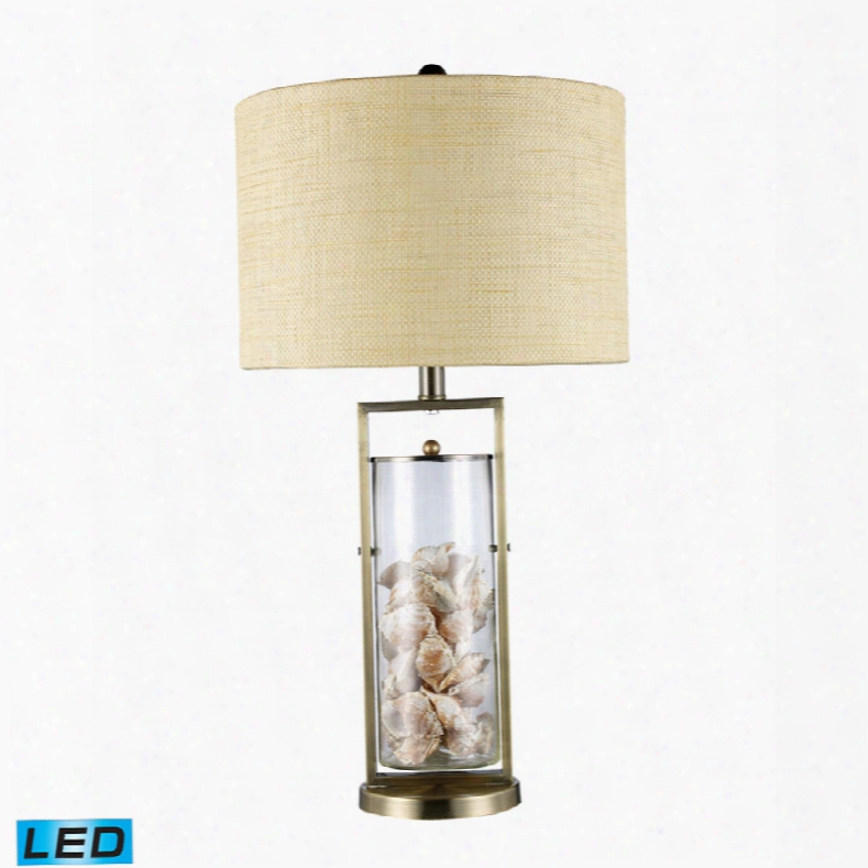 Dimond Millisle Clear Glass With Shells Inside Led Table Lamp