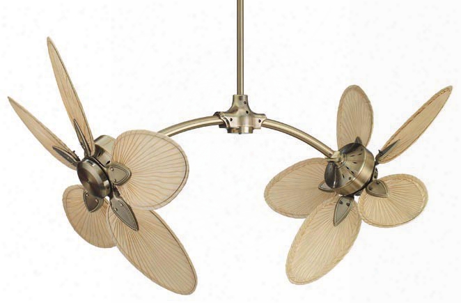 Fanimation Caruso Ceiling Fan